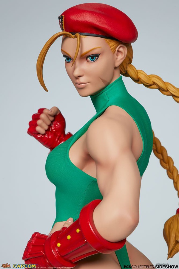 CAMMY 1:3   EVOLUTION SET