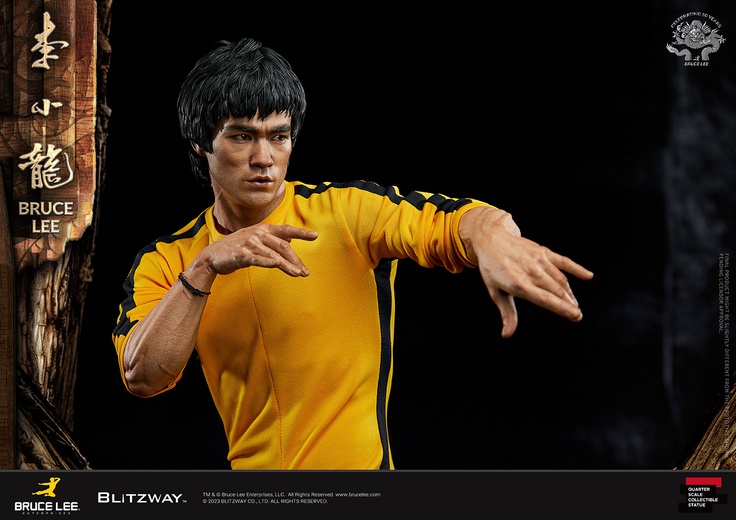Bruce lee death anniversary hotsell