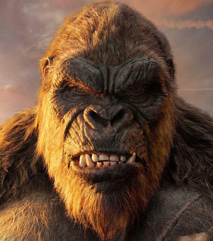 Kong Bust