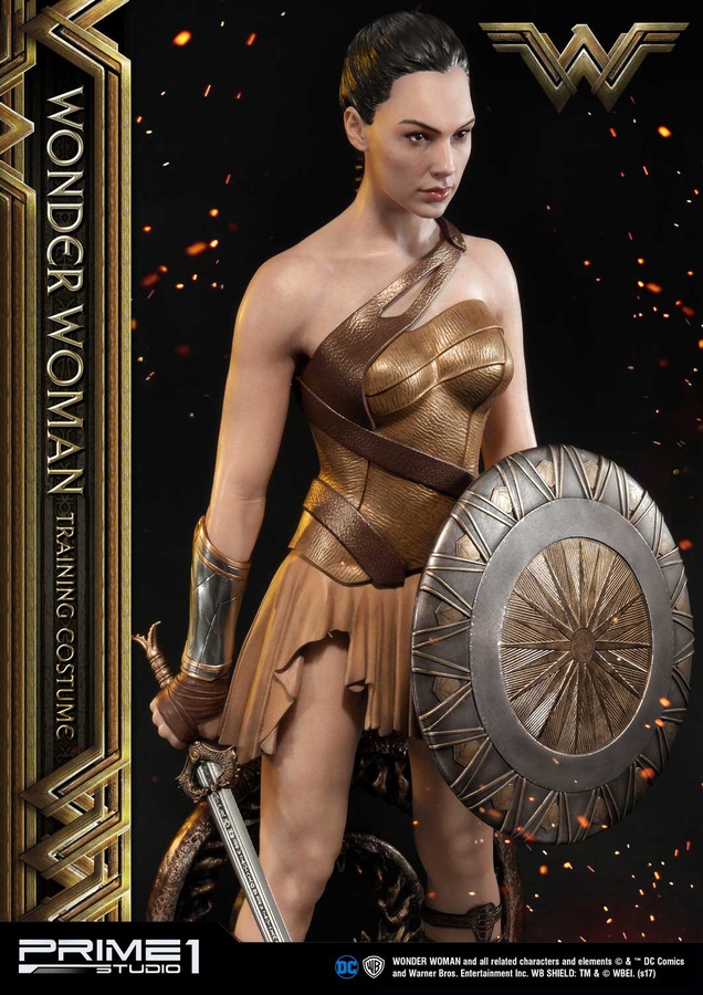 Wonder Woman Training Costume