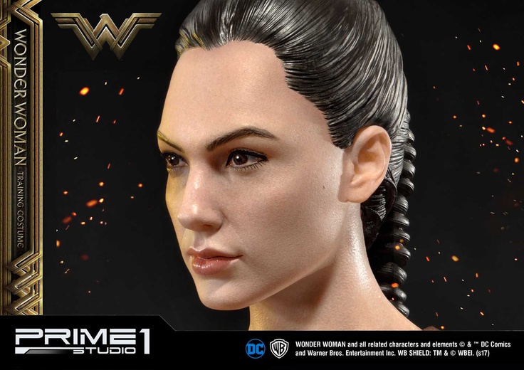 Wonder Woman Training Costume