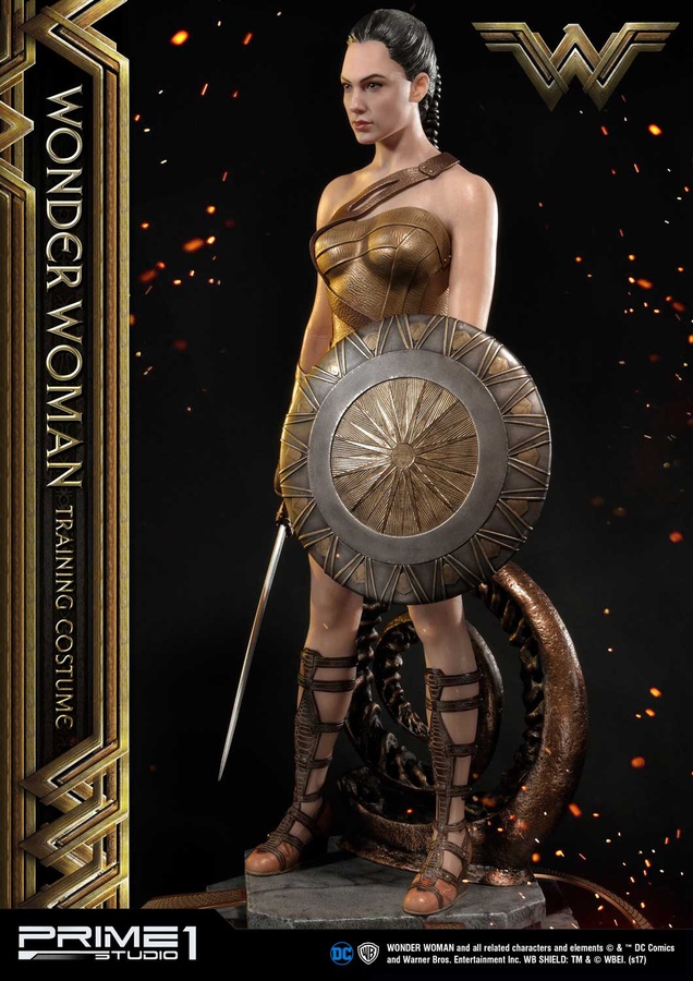 Wonder Woman Training Costume