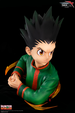 Gon Freecss - 1:1 Scale Life Size Bust